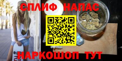 индика Лесосибирск
