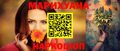 индика Лесосибирск