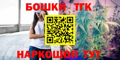 индика Лесосибирск