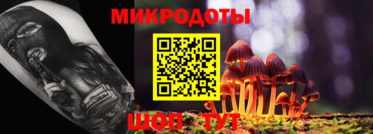 Псилоцибиновые грибы Psilocybine cubensis Старая Купавна