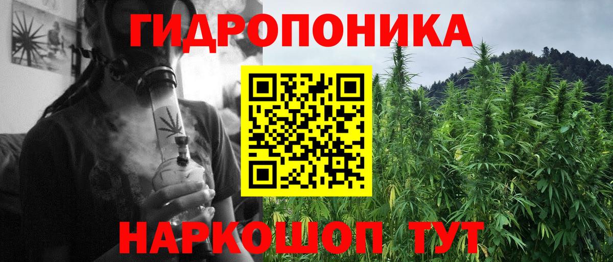 Бошки Шишки индика  МАРИХУАНА сатива  Канабис сатива  Старая Купавна  Вход с VPN 